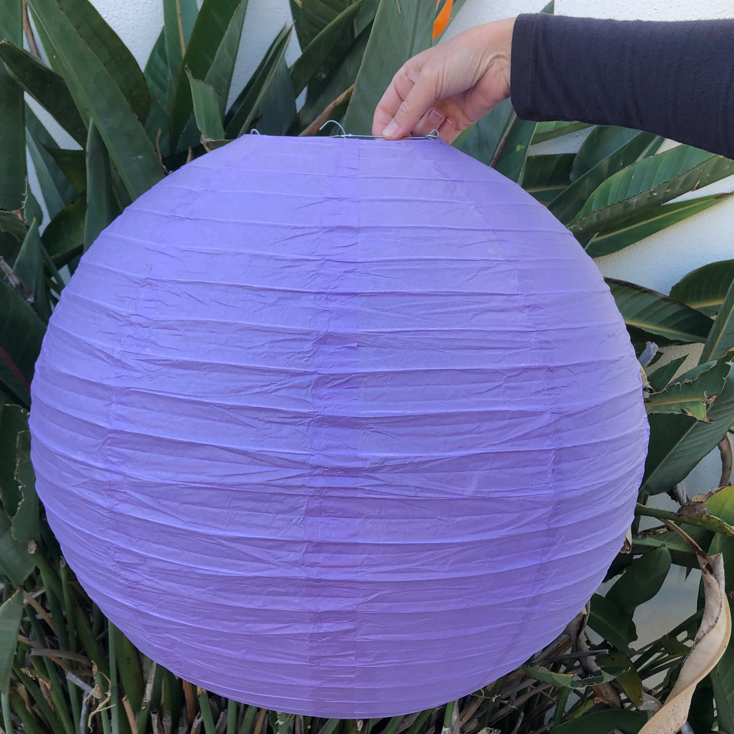 50cm Paper Lantern