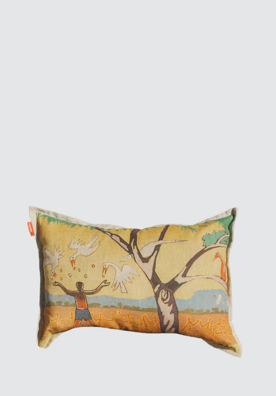 Boy with Birds Cushion Cover