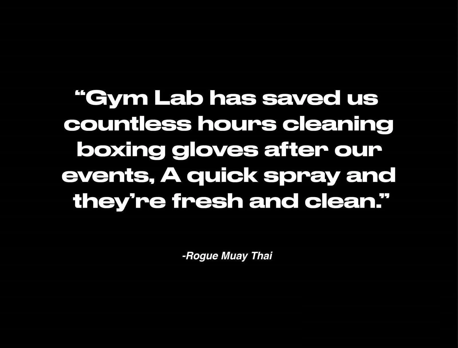 Gym Lab Multipurpose Sanitizer