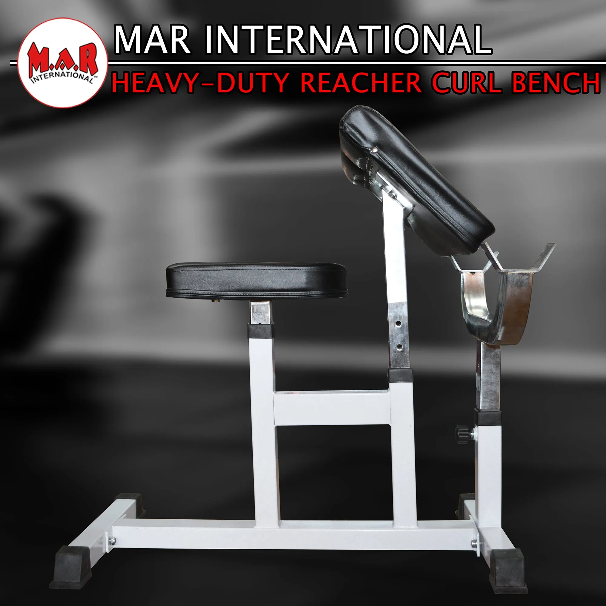 MAR-346 | Preacher Curl Bench